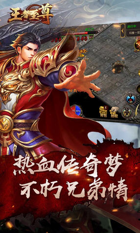 王者至尊特別版截圖4