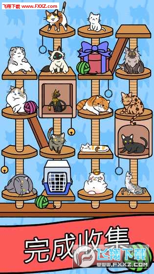 Cat Condo(貓咪公寓中文版)截圖4