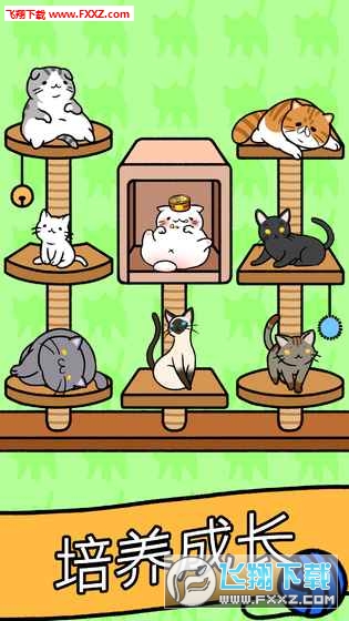 Cat Condo(貓咪公寓中文版)截圖3