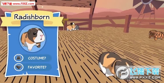 豚鼠橋安卓版 豚鼠橋安卓版