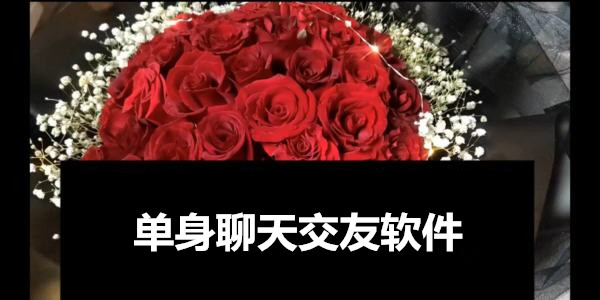 單身聊天交友軟件哪個好_適合單身男女的交友app_脫單聊天交友軟件合集