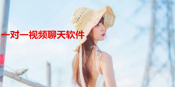 一對一視頻聊天軟件合集_視頻1對1聊天_一對一的開放視頻聊天app