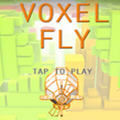 Voxel Fly(OwНh)