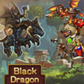 BlackDragon(o޽Ű)