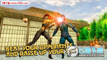 Ninja Kung Fu Fighting(ҹ߸Y°׿[)1.2؈D3