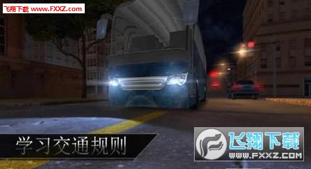 Bus Simulator 2017(ʿģM2017޸İ)3؈D2