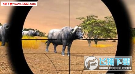 Safari Hunting 4x4(C4x4°)1.0.7؈D3
