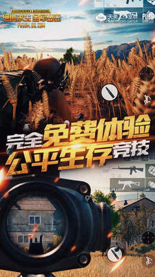 PUBG MOBILE LITE(pubg mobileH)؈D2