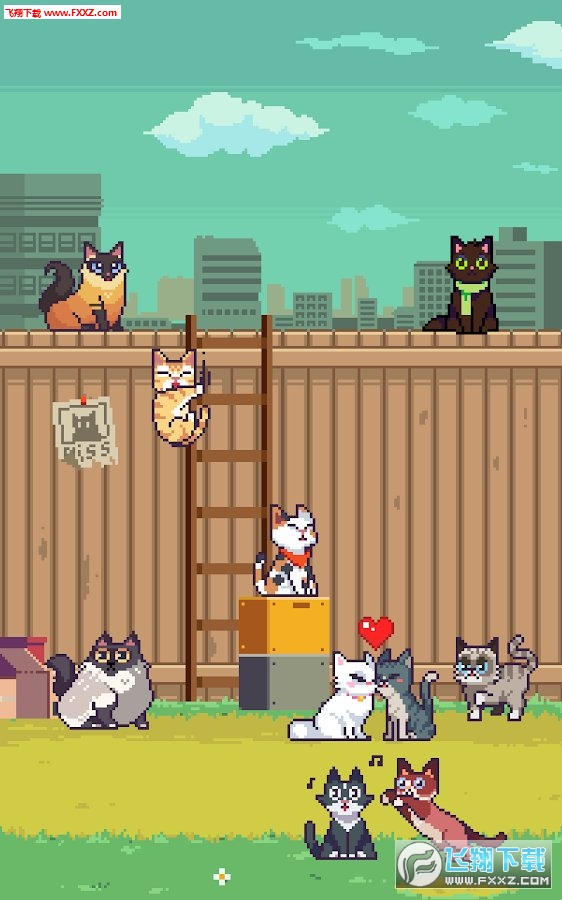 CatsJump(؈S׿)؈D2