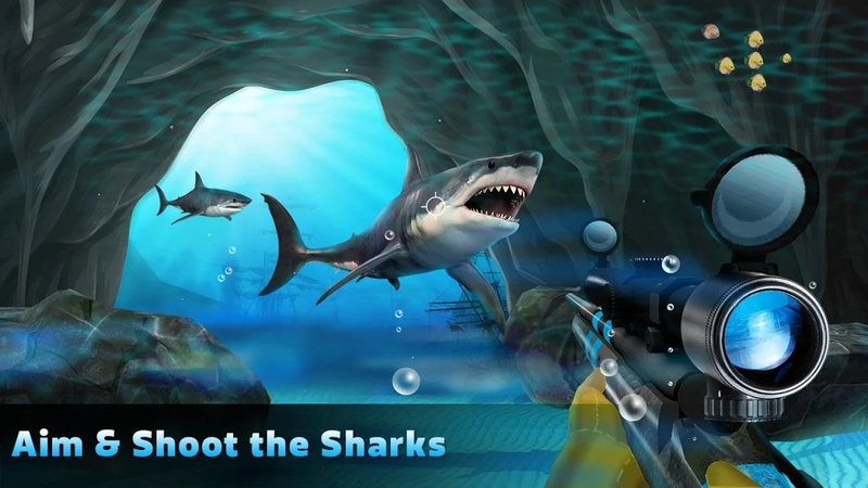 Shark Hunting(~Cٷ[)v1.5؈D3