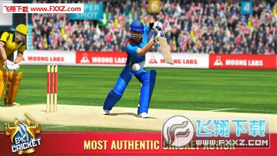 Epic Cricket[