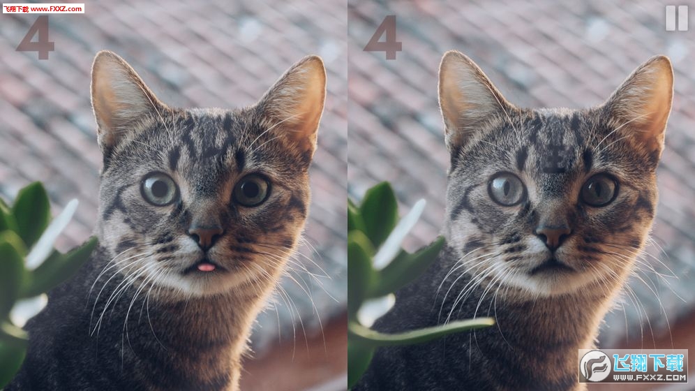 ���ی�����׿��v0.2�؈D2