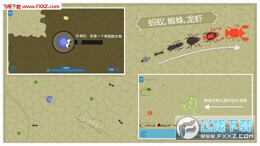 Animal Evolution(M[°)1.0.5.4İ؈D2