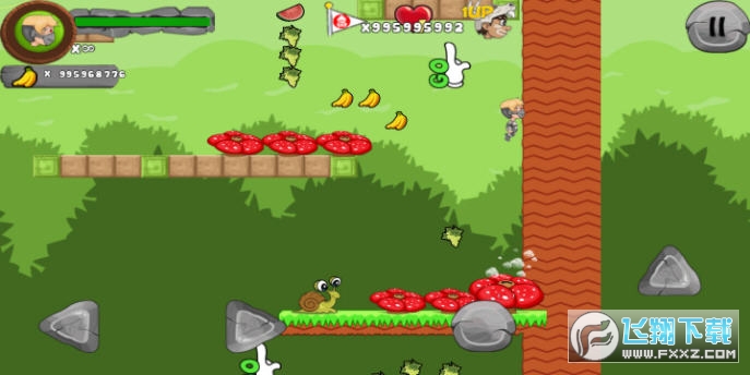 Jungle Adventures(֕Uӛ؛Ű)33.20.6°؈D1