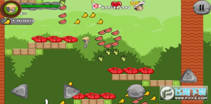 Jungle Adventures(֕Uӛ؛Ű)33.20.6°؈D2
