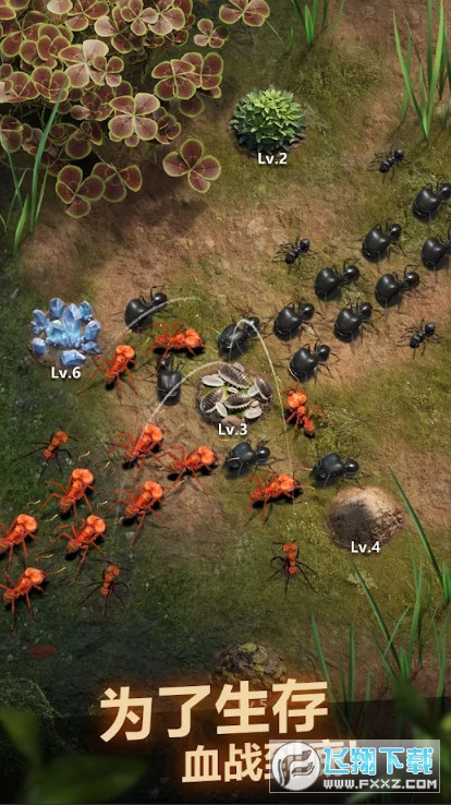 ССρH׿(TheAnts)v3.49.0°؈D0